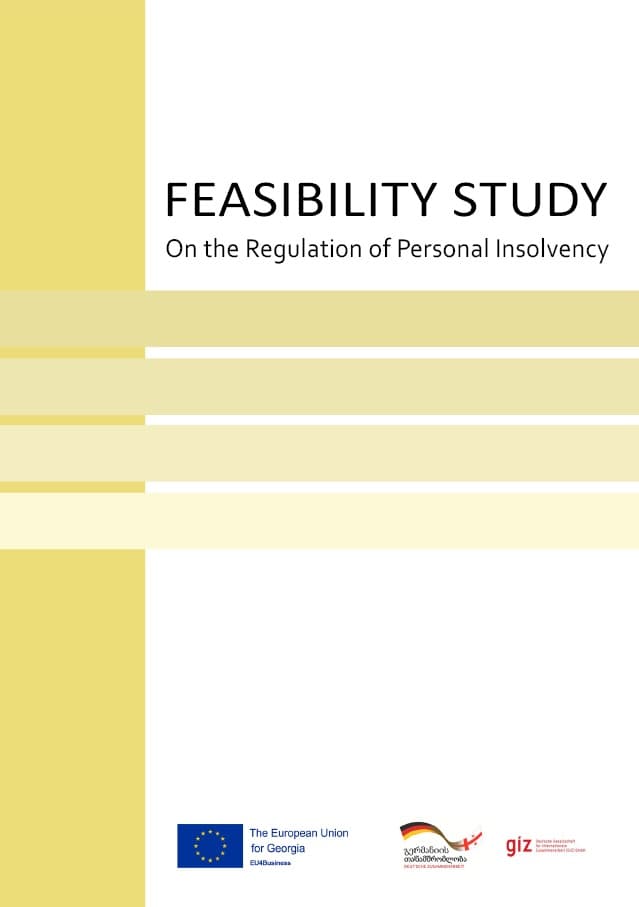 FEASIBILITY STUDY On the Regulation of Personal Insolvenc