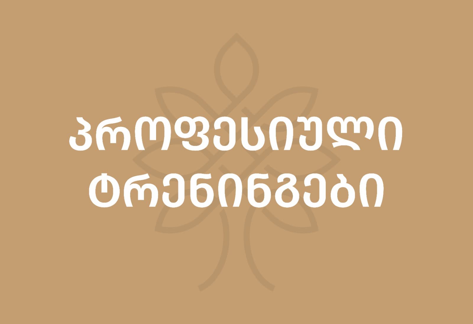 საქართველოს იუსტიციის სამინისტროს სისტემაში ახლად დანიშნული მოსამსახურეების საორიენტაციო პროგრამა